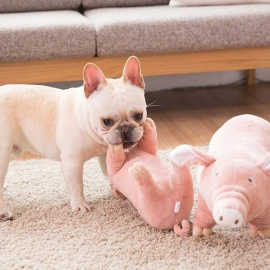 Plush Pig Pet Dog Accompanying Sleeping Toys for Small Dogs French Bulldog Bite  Venting Supplies Puppy Dog Playing Toy